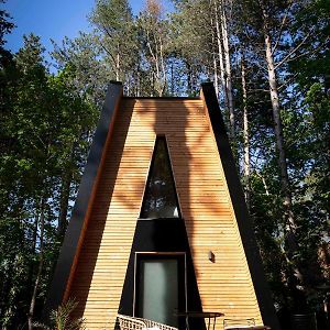 Bain de forêt - Lodges Cosy&Spa